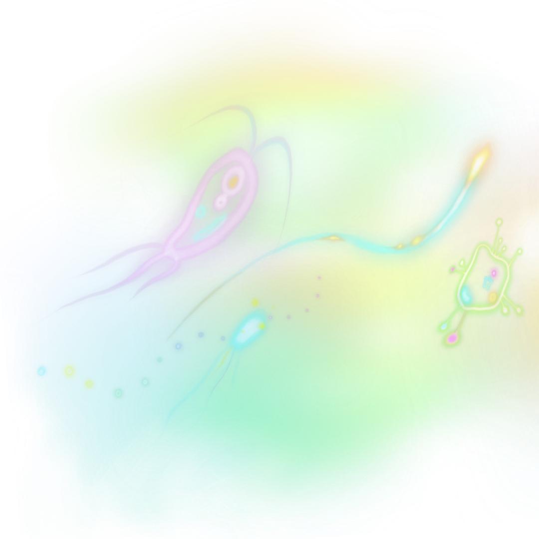 皂白