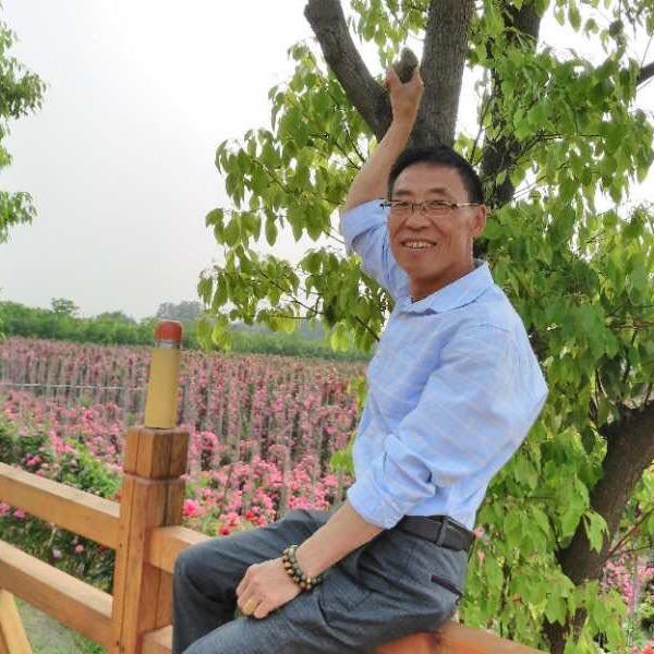 张大大