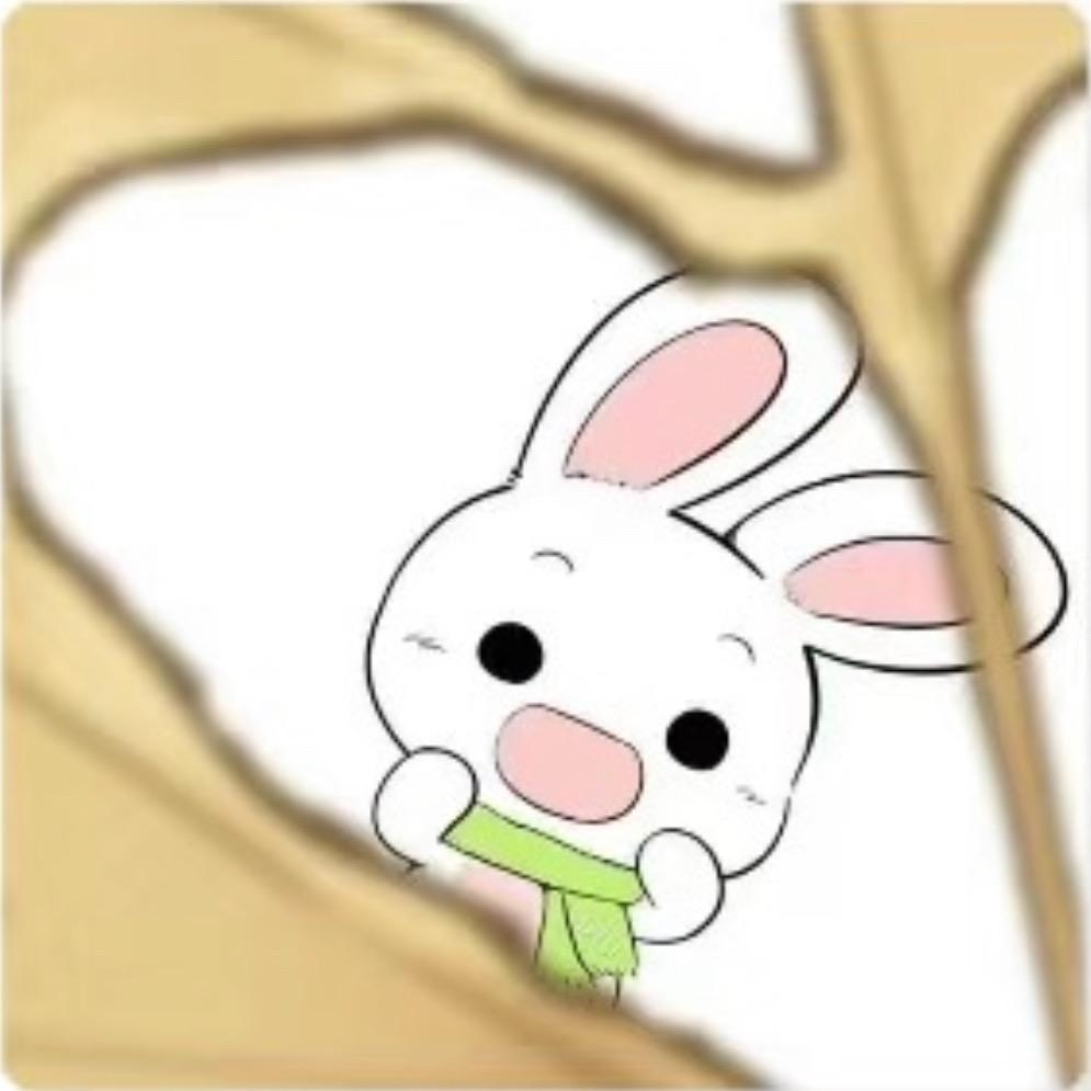 One more year✈️🇷🇸