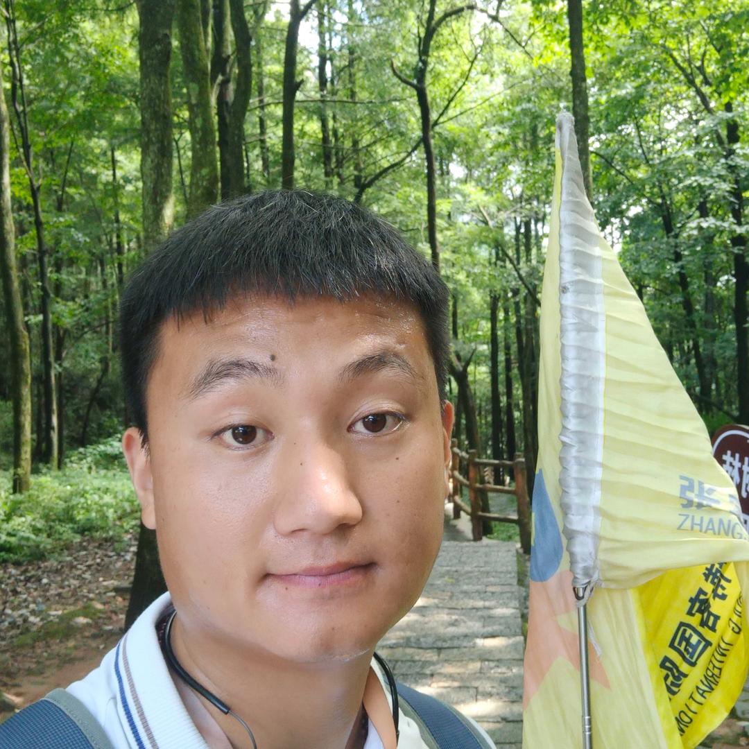 导游大宇带团日记