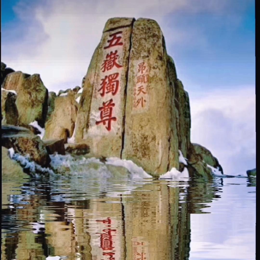 白佛山老杨树🌲🌲