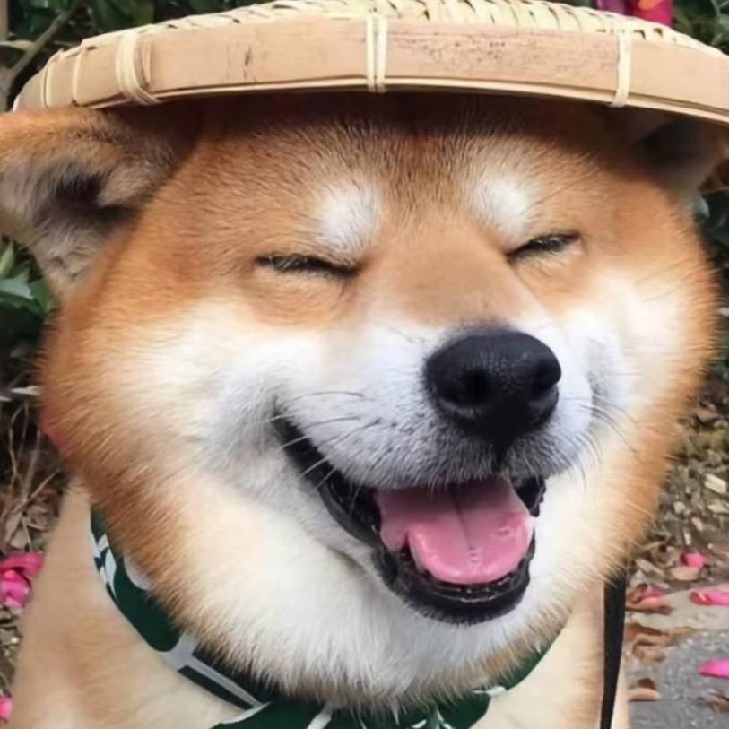 驱虫剂
