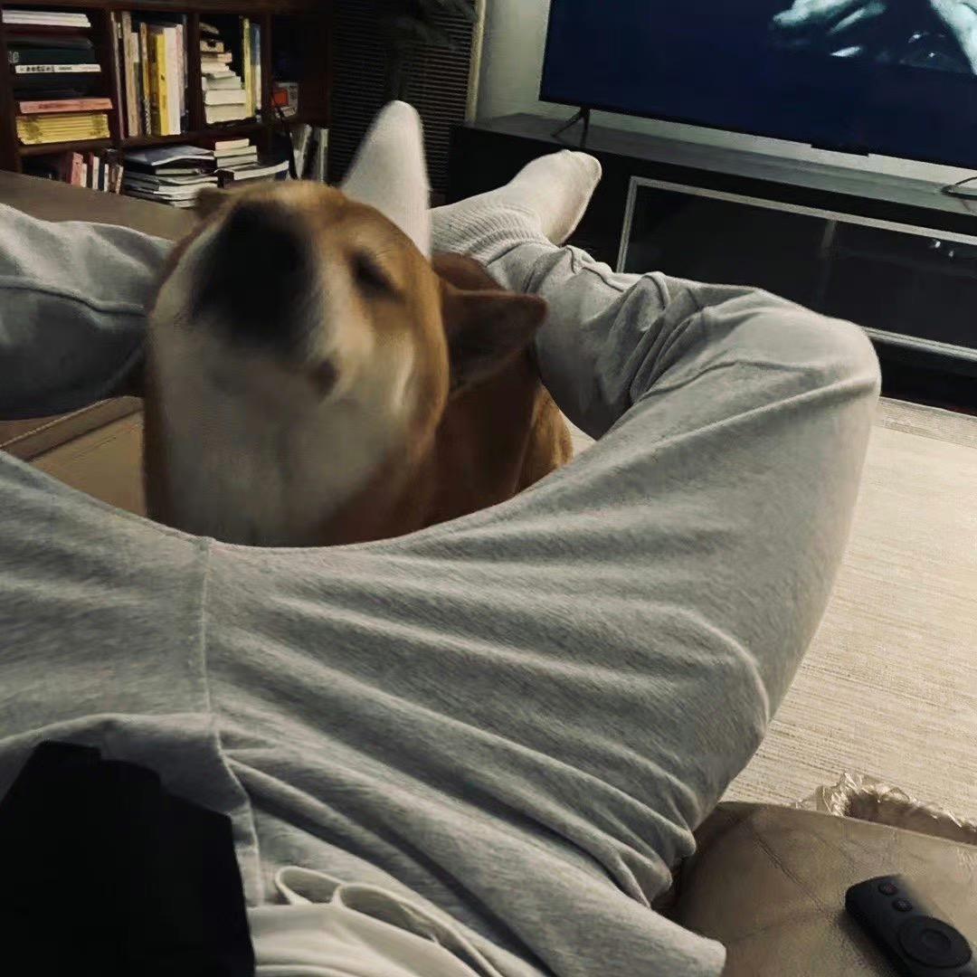 是涛仔哇🐾