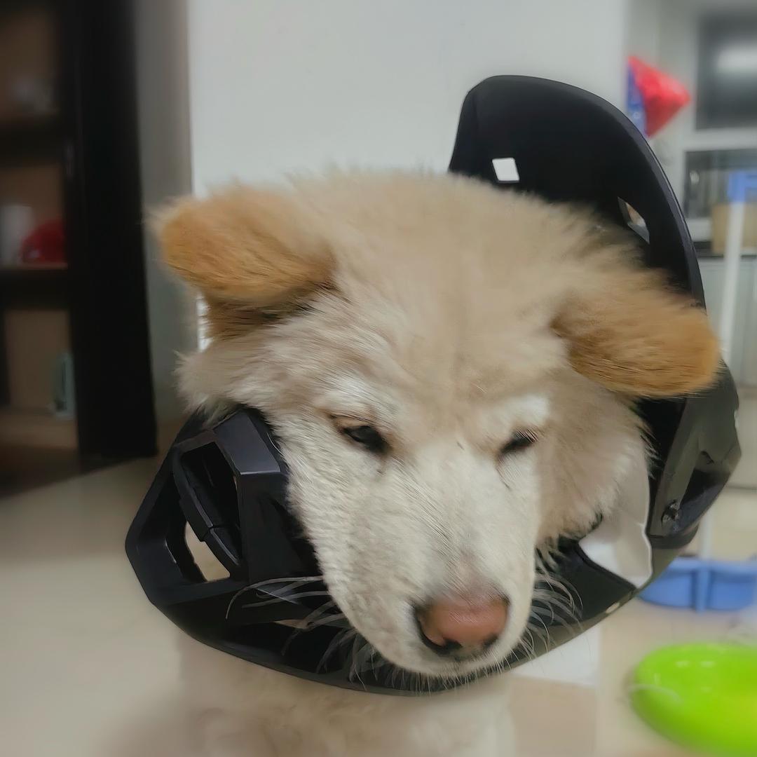 。