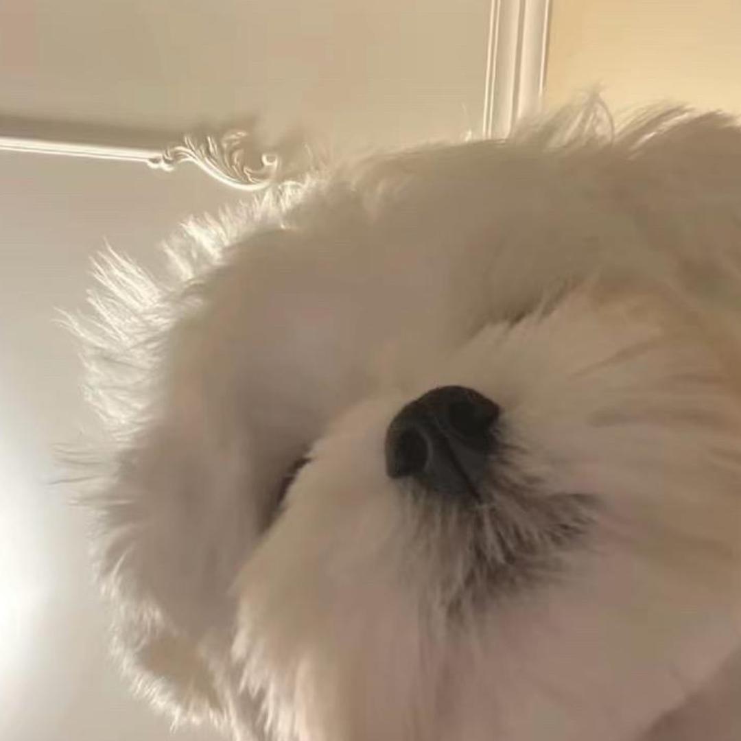 壹
