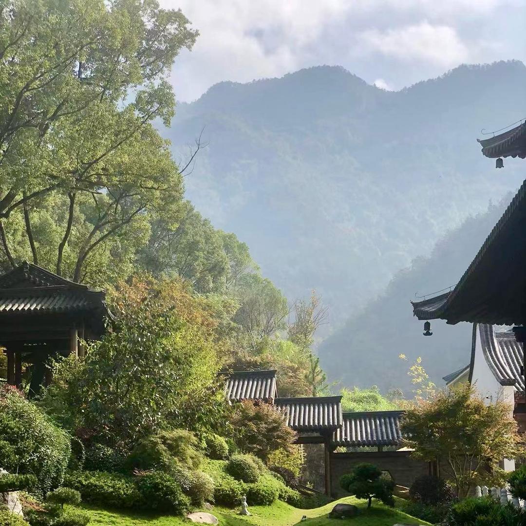 花草为伴，独沐芳华