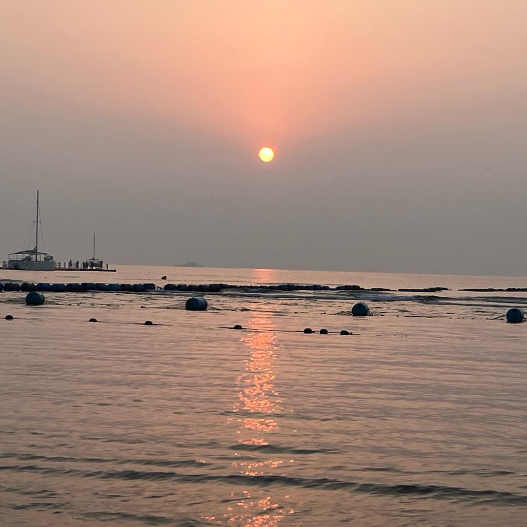 巴菲特就那么回事