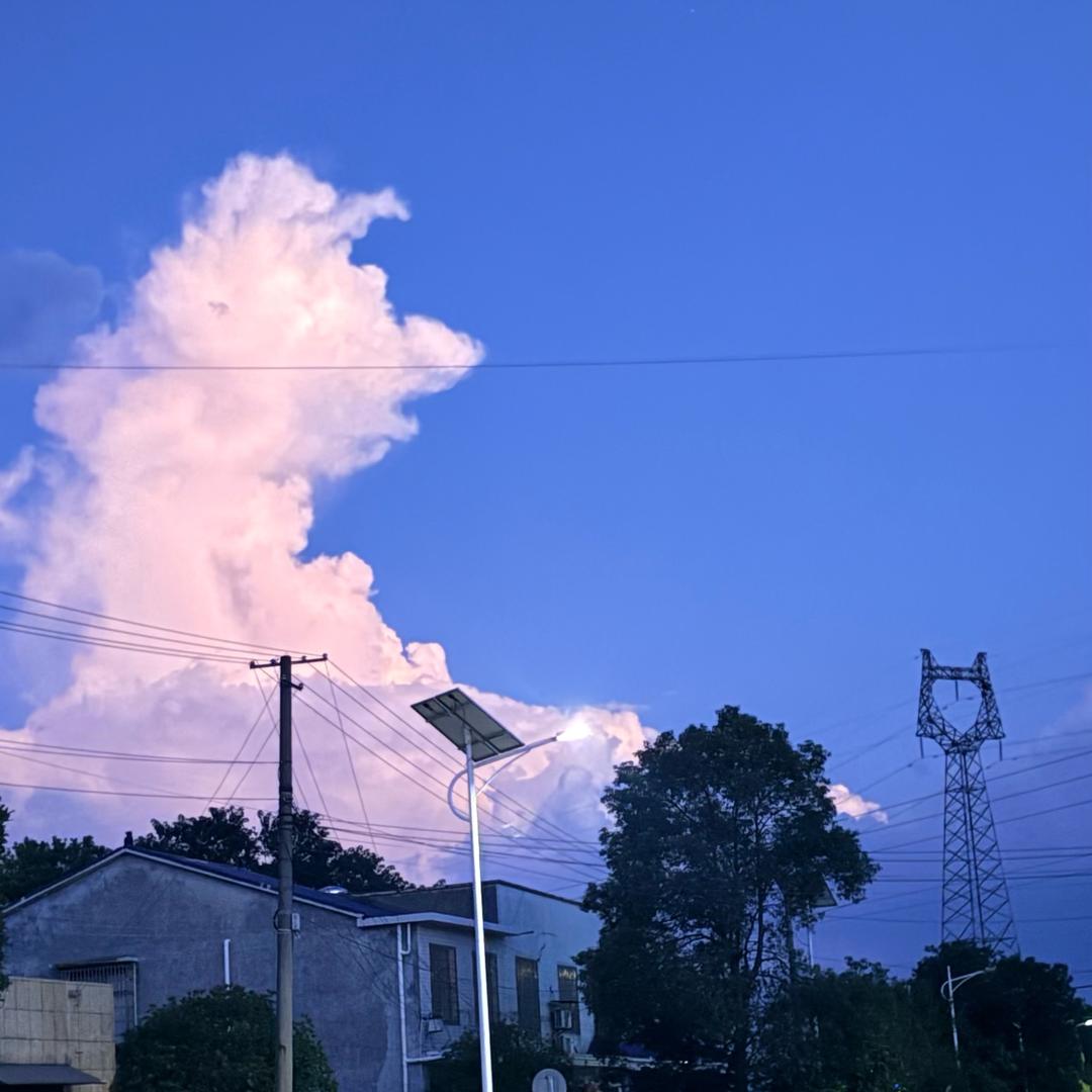 叛逆的外卖