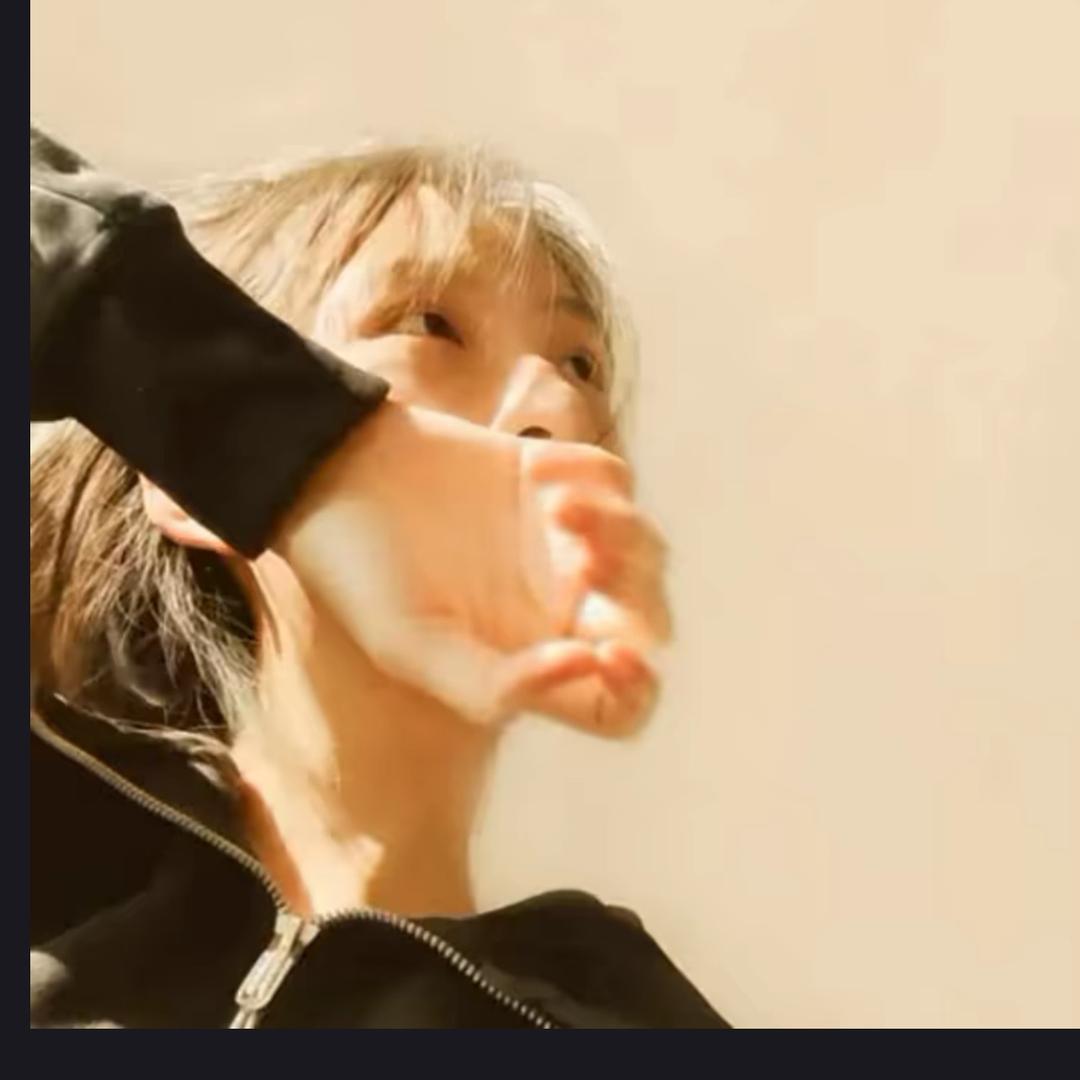 🕊️