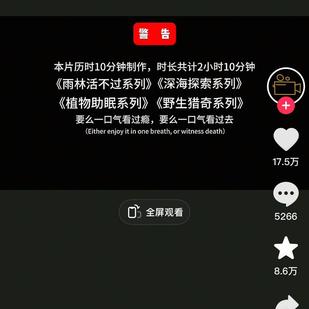 形象大使