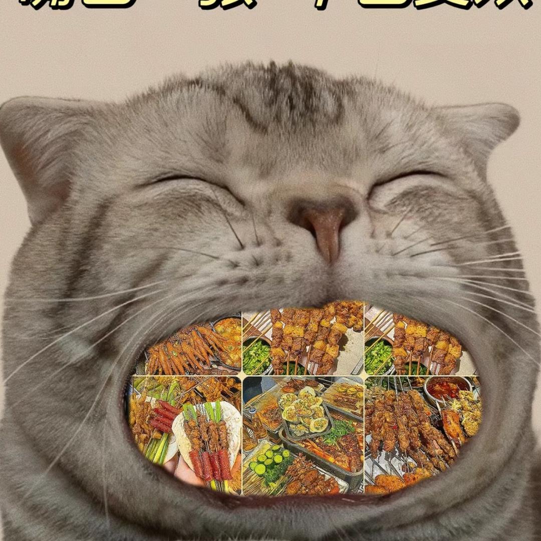 大嘴巴🌟喵的头像