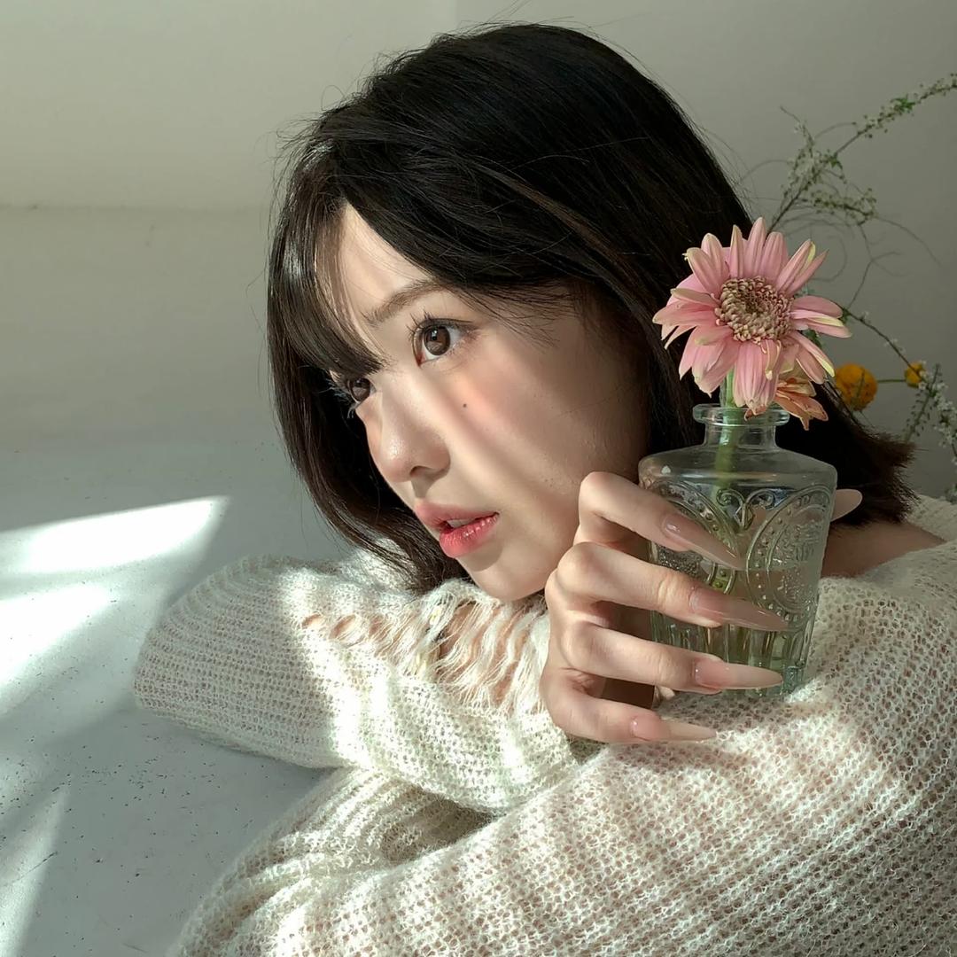 泪.