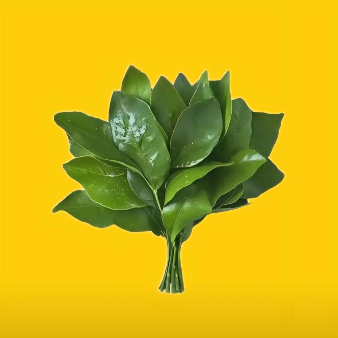 屎没憋住被护工暴打