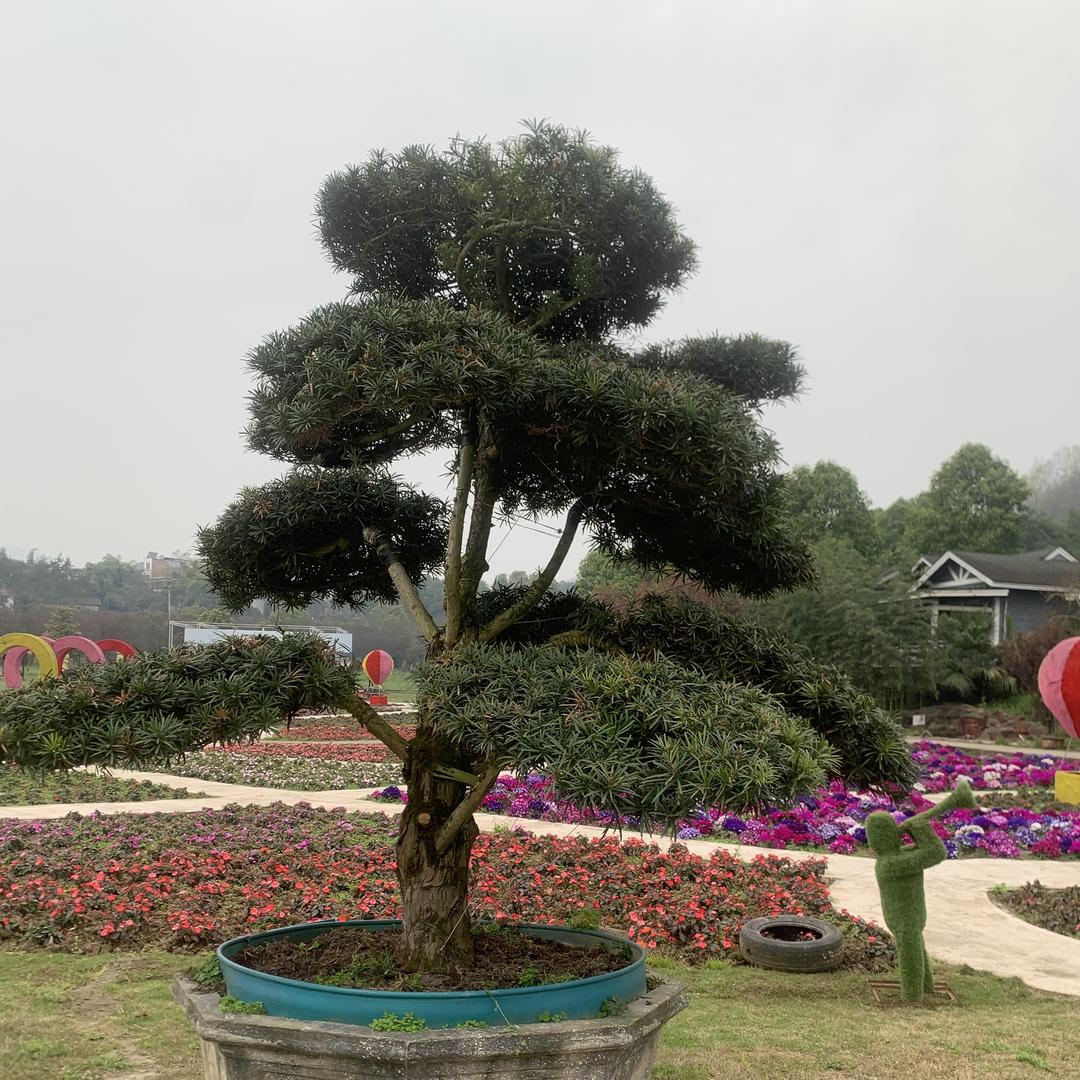 晓敏鞋优选