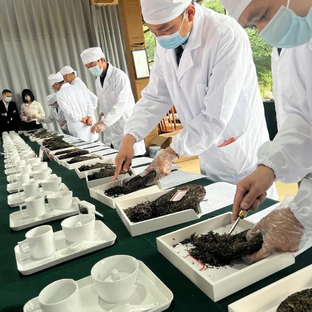 选茶