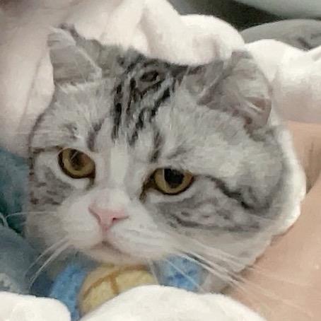 柒柒.（求求关注版）