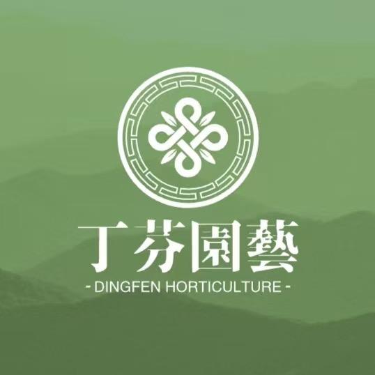 丁芬园艺（精品福利）