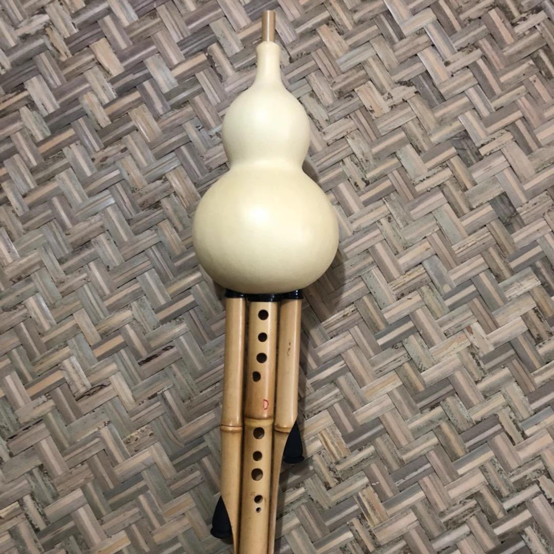 小李&中老年葫芦丝教学