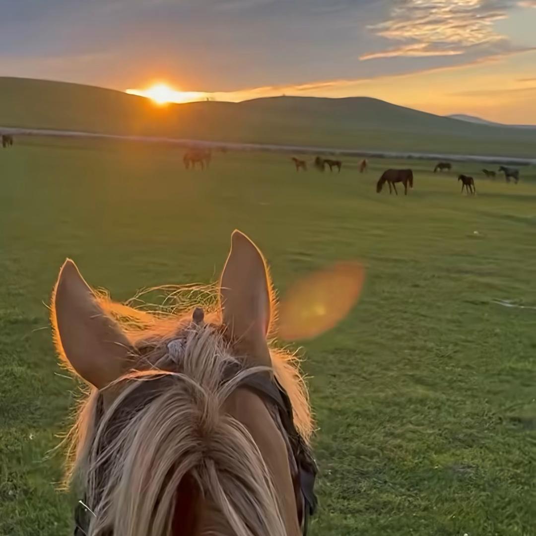 海深志-小杨商家号