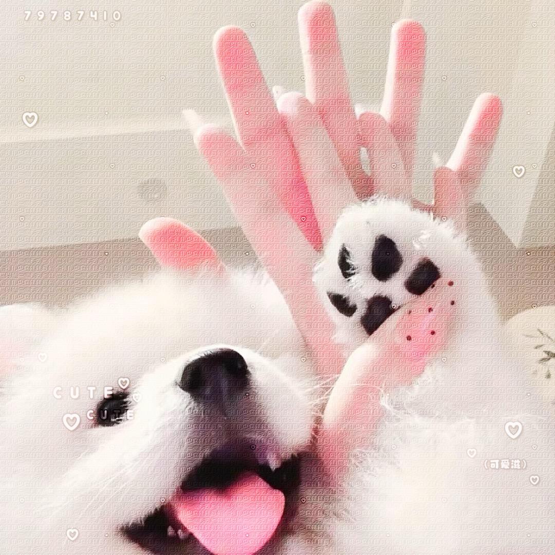 虔诚