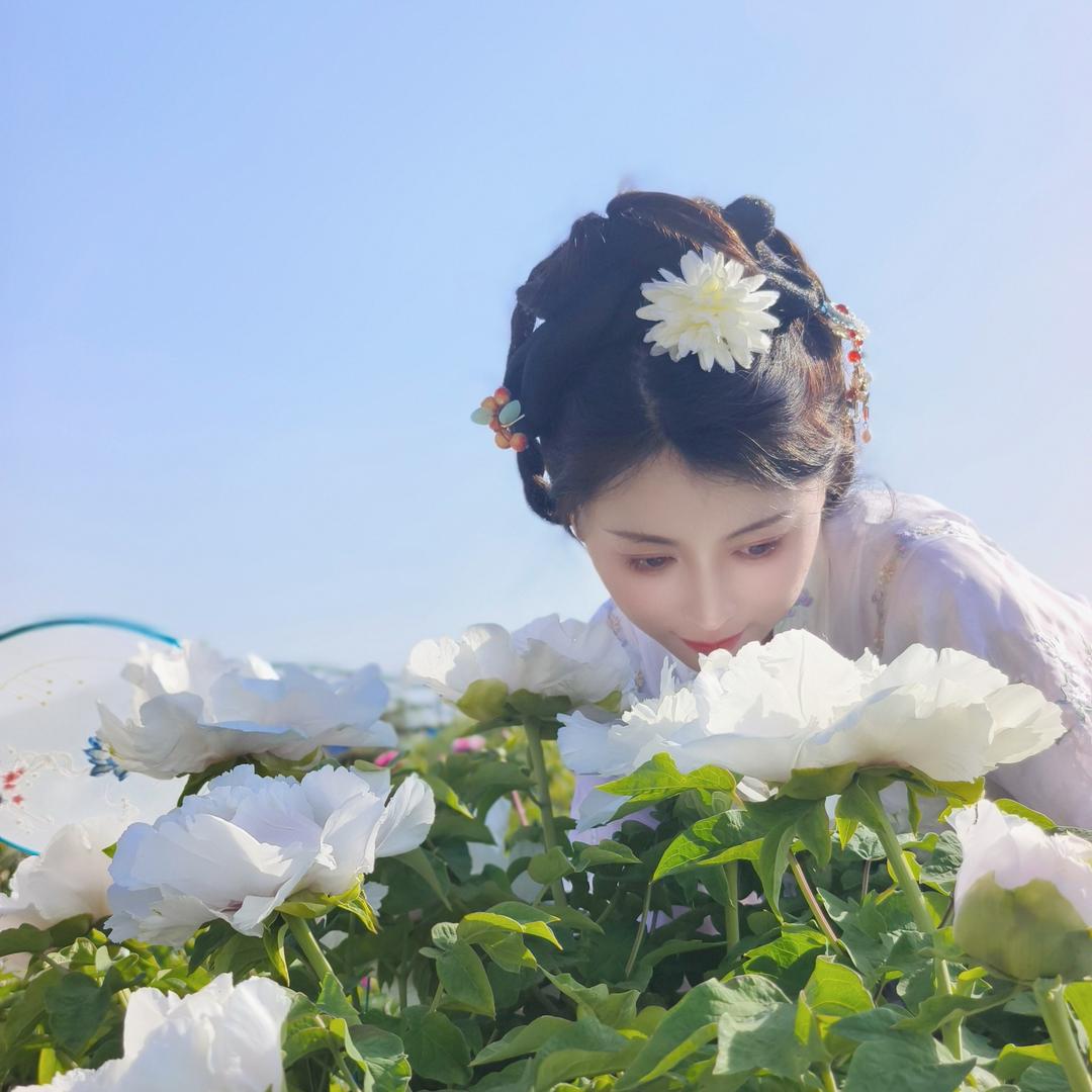 小鹿🦌