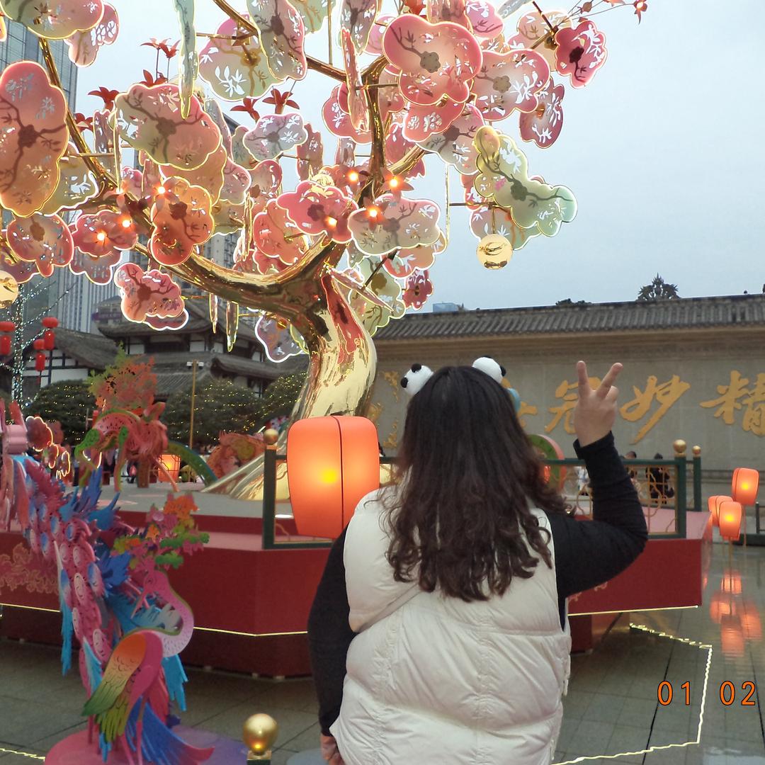 灵芝吖