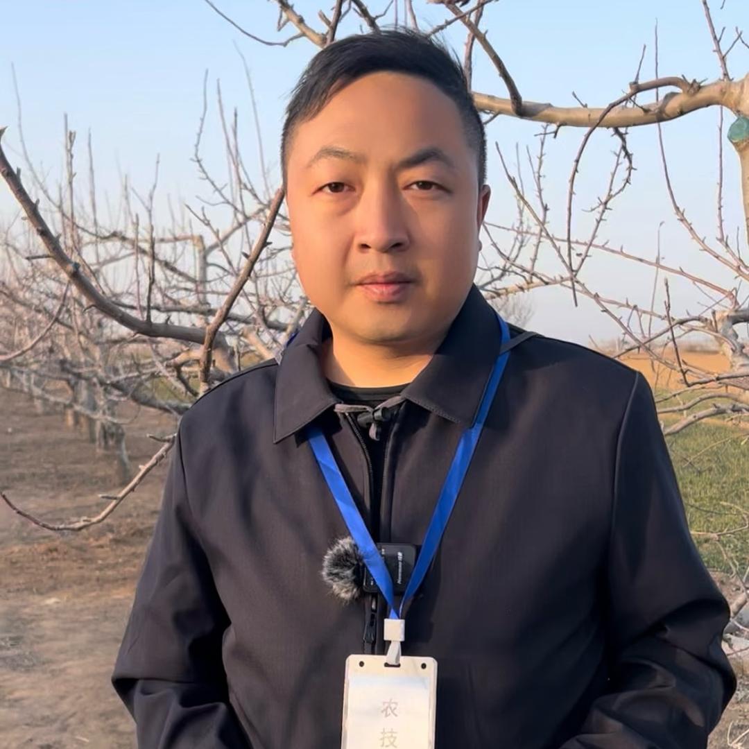 小马讲果树
