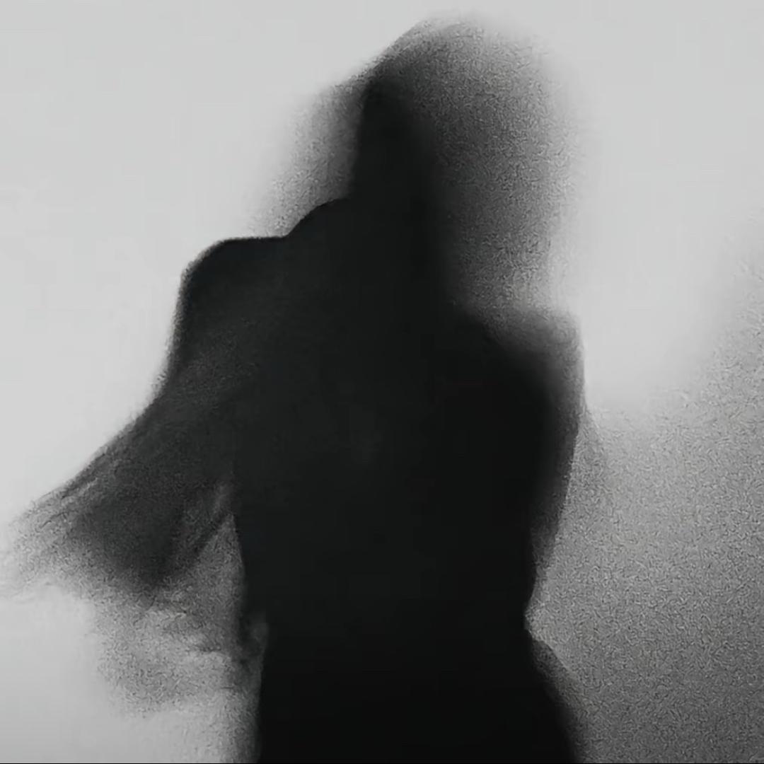 ㅤㅤ   ㅤㅤㅤㅤㅤShhshii