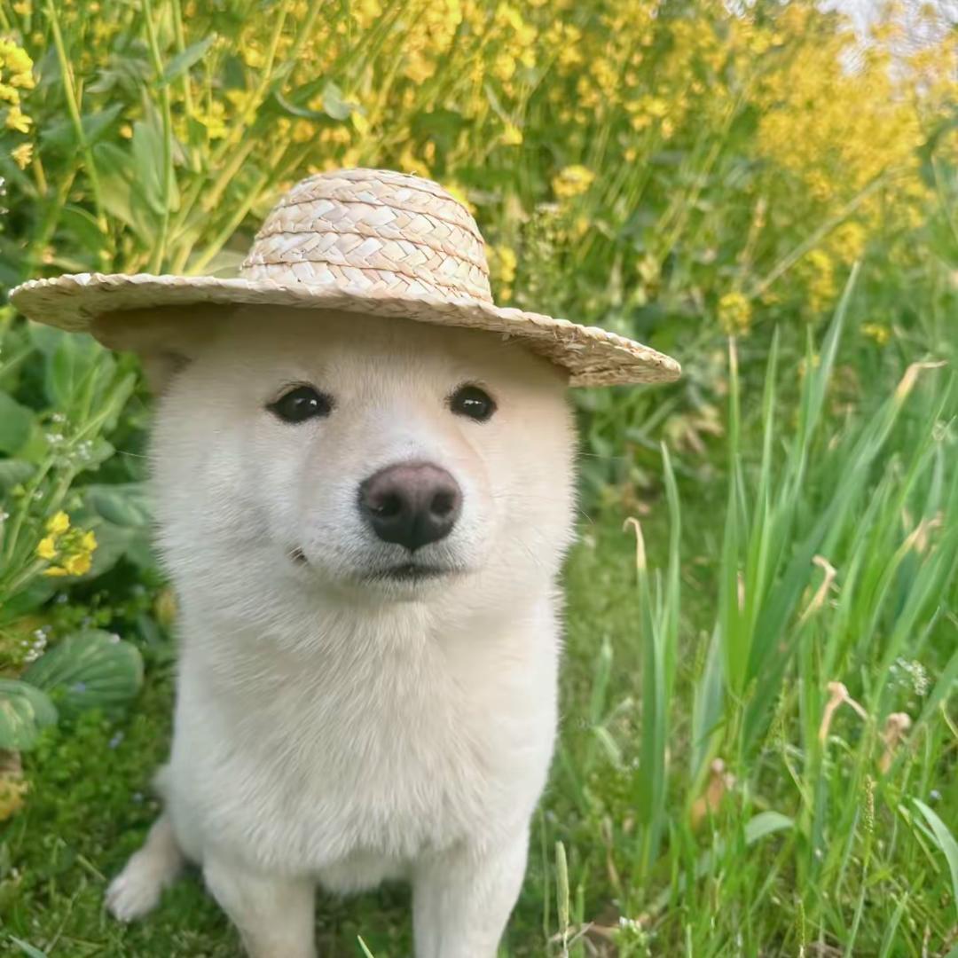 小咔