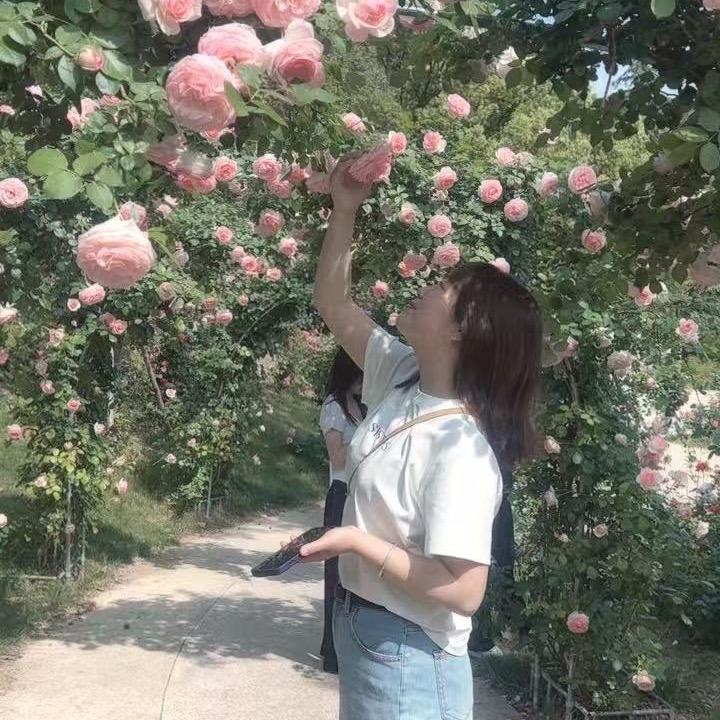 A.Miss，蒋🍎