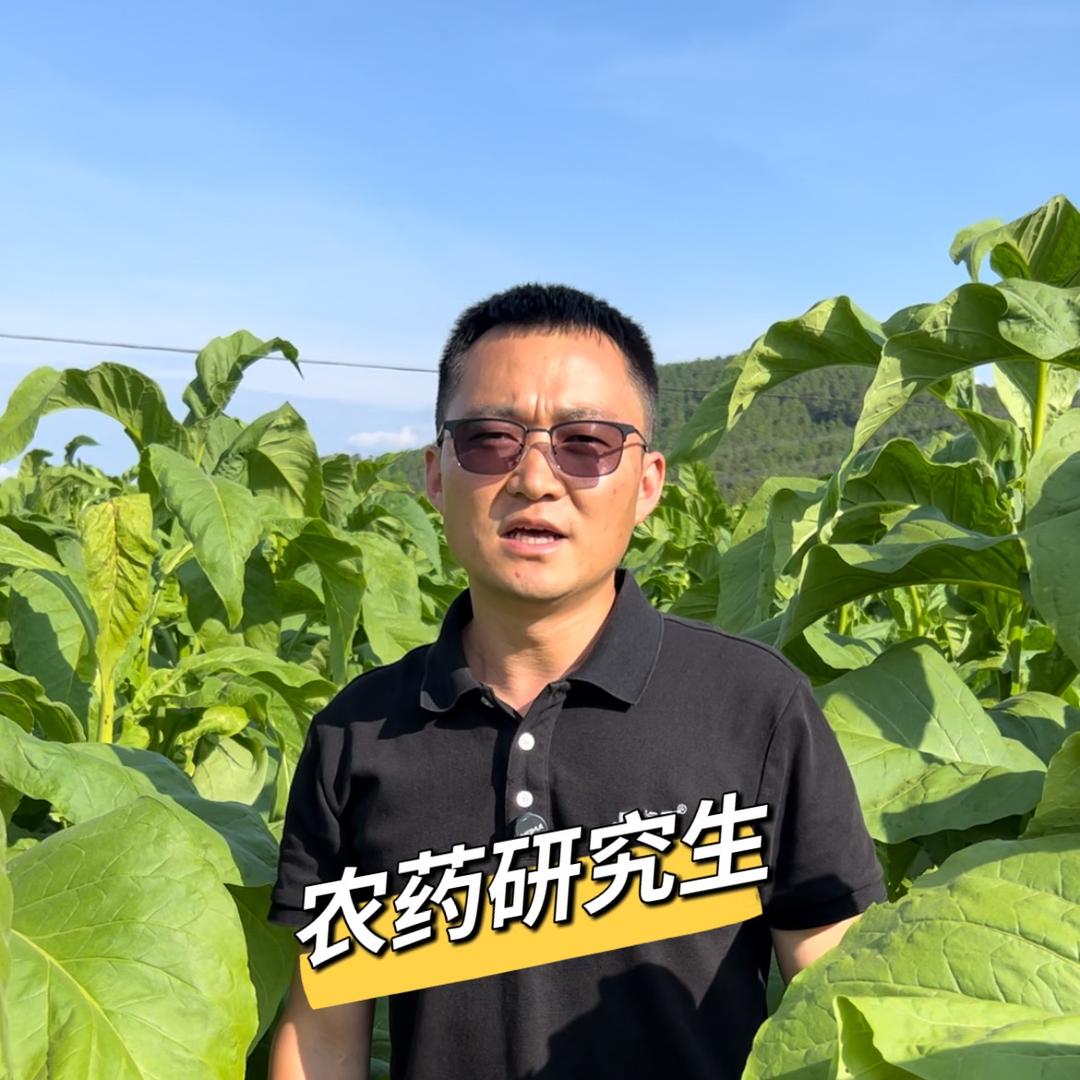 农药研究生（标正植保）