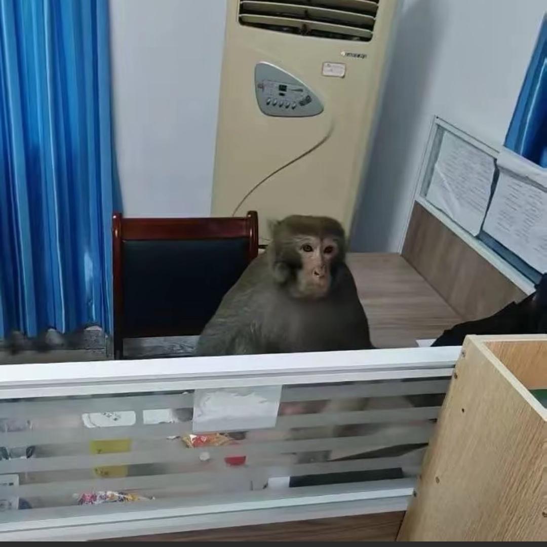 衍