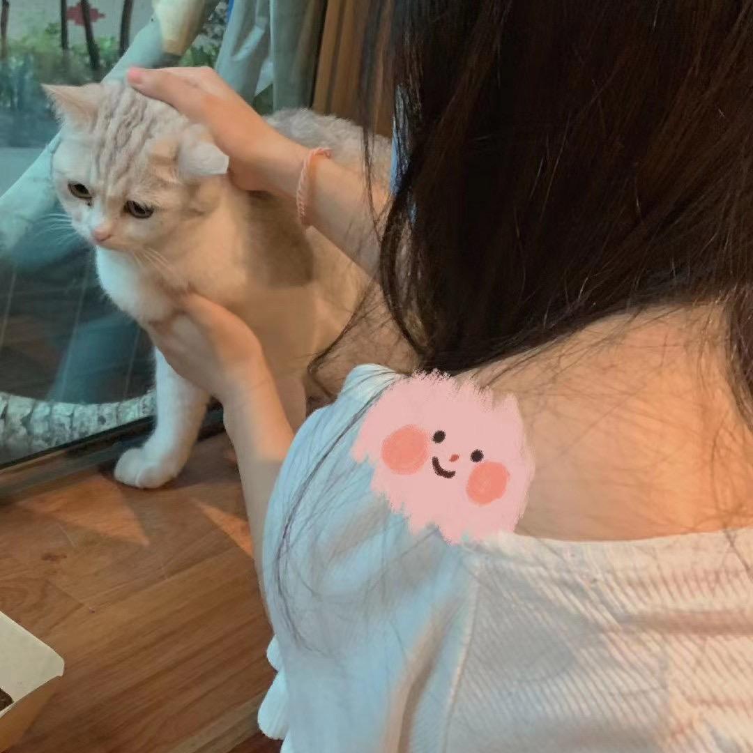 小沐
