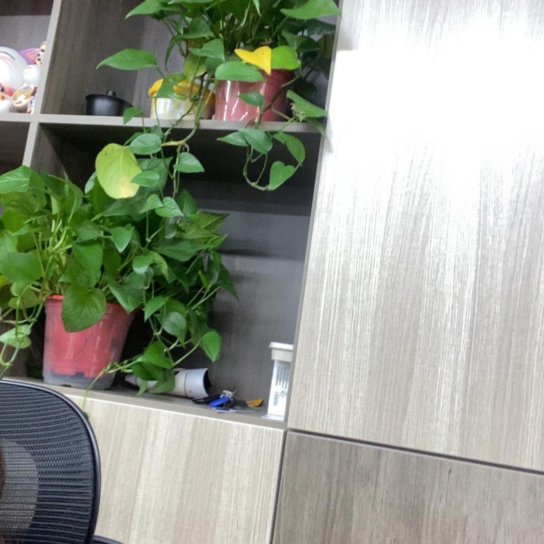 事事如愿上海荭沄科技中心