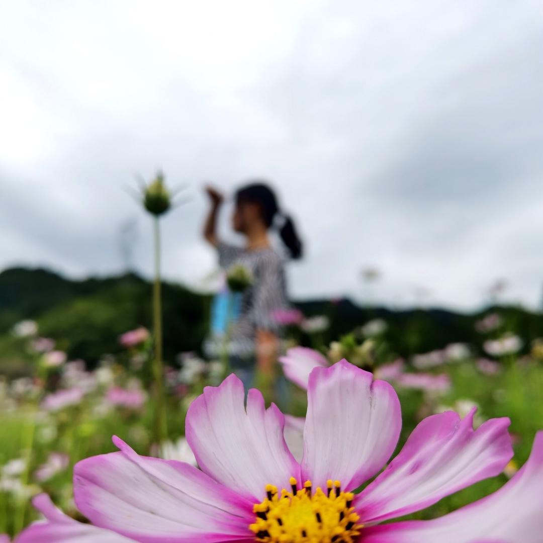 我是涂涂