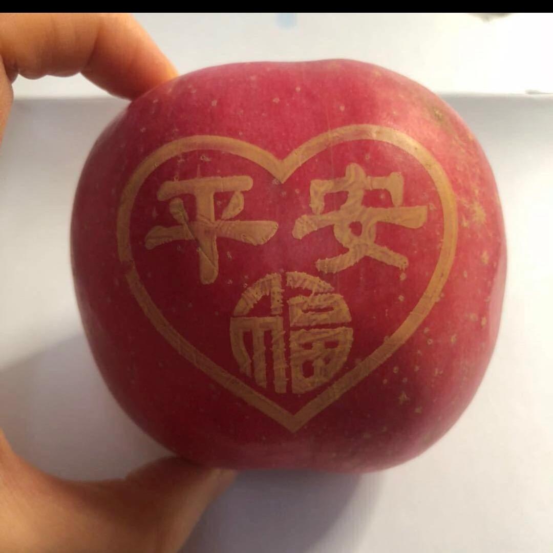 ✨鱼翅汉堡✨