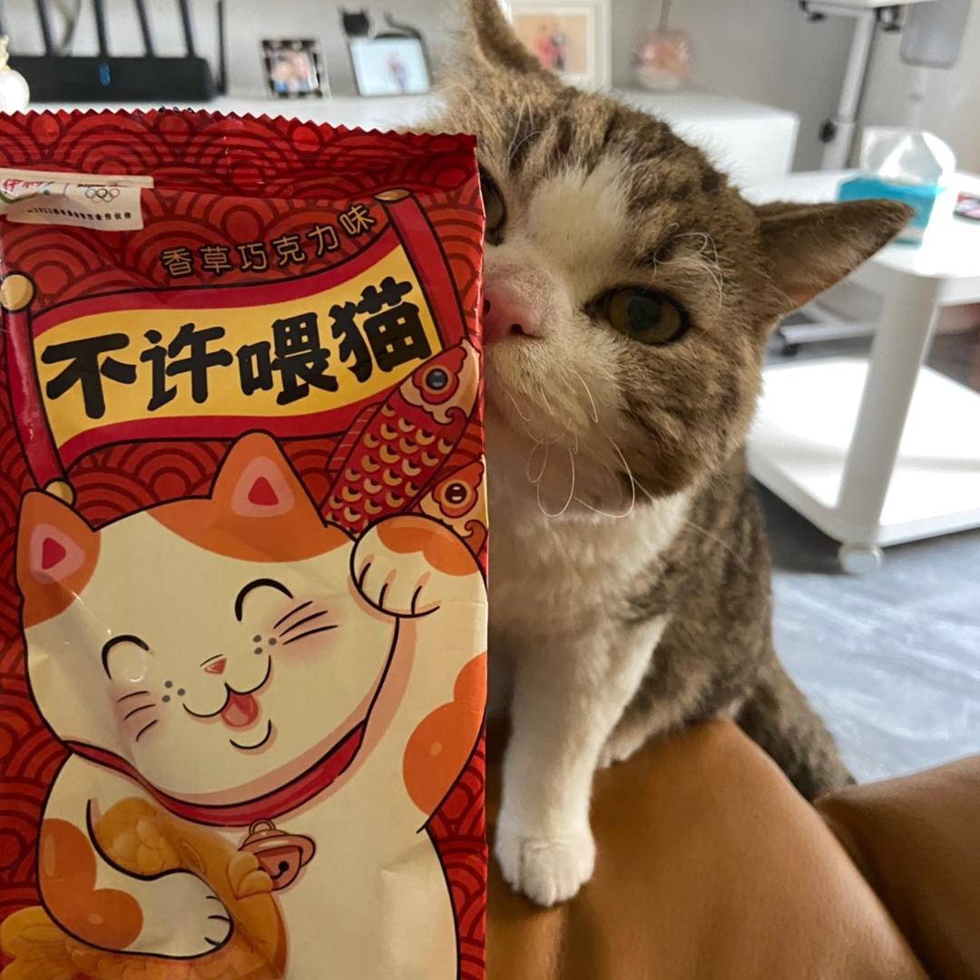 小破毛