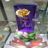 西藏云山虫草行