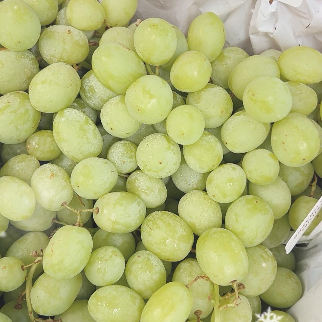 进口水果宝藏店
