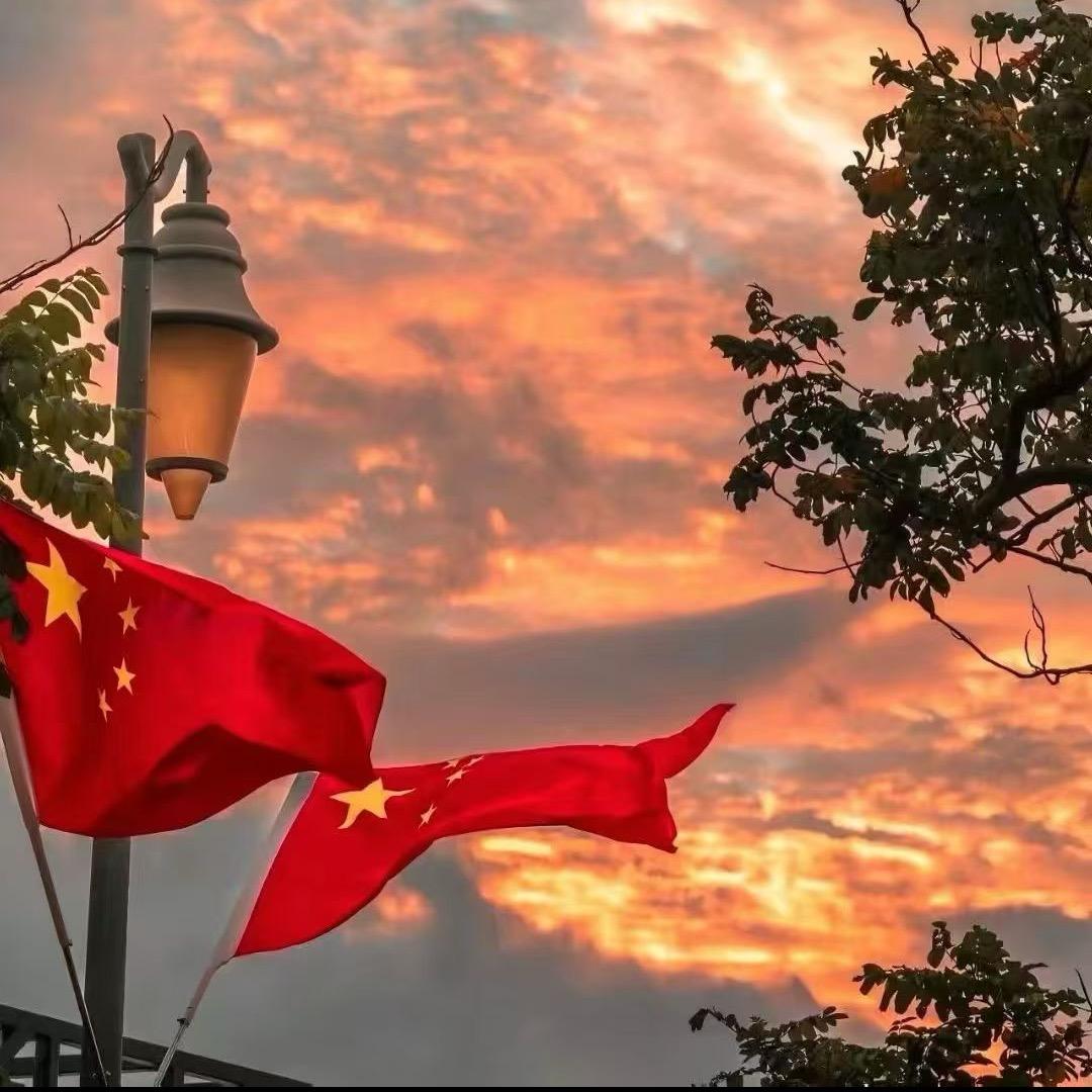 叶🇨🇳子🇨🇳🇨🇳🏡