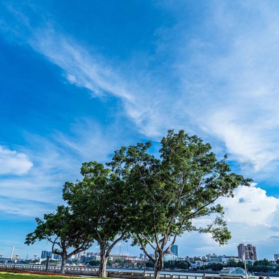 漯河明哥在美国🇺🇸