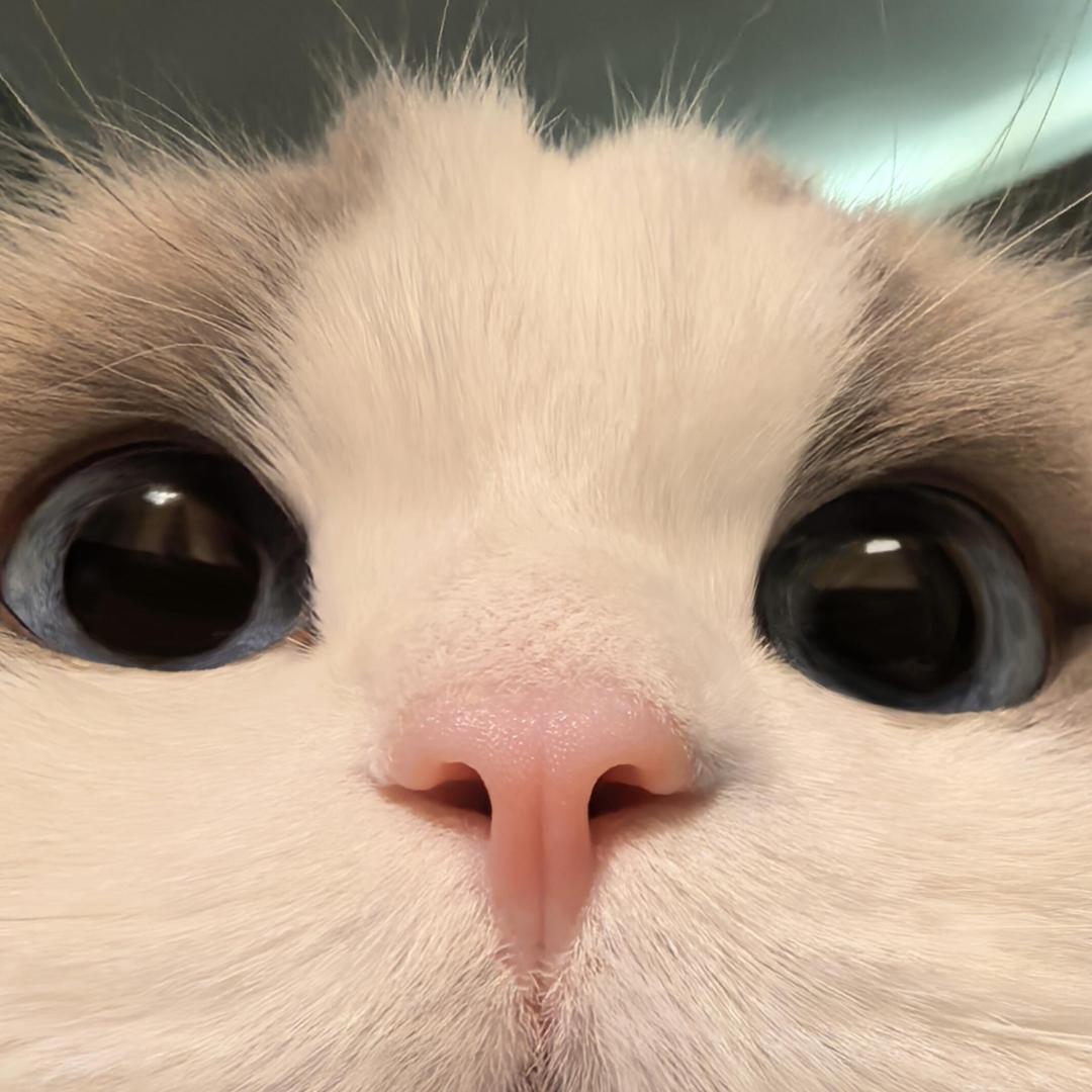 街边阅读