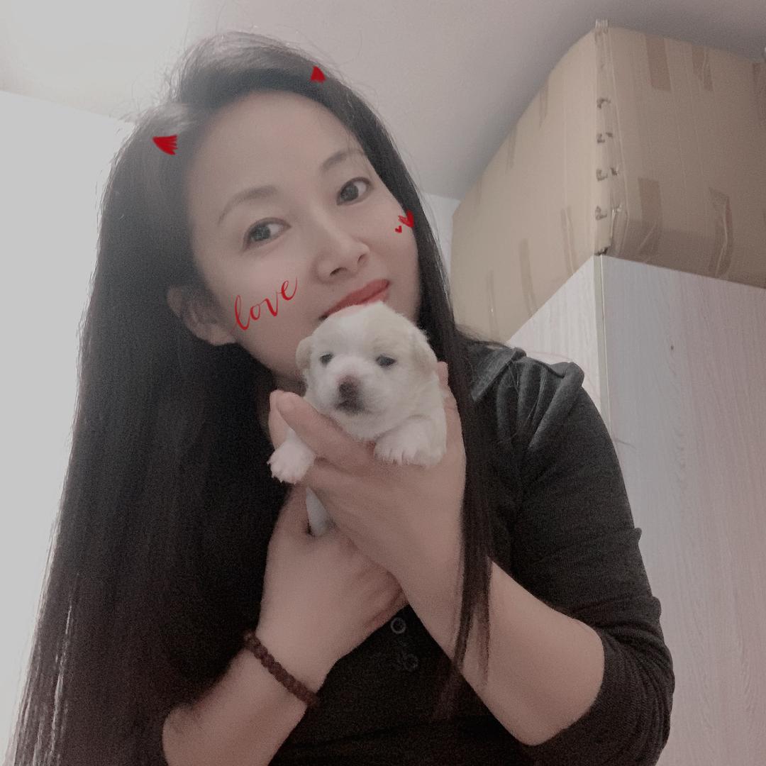 猫语花香