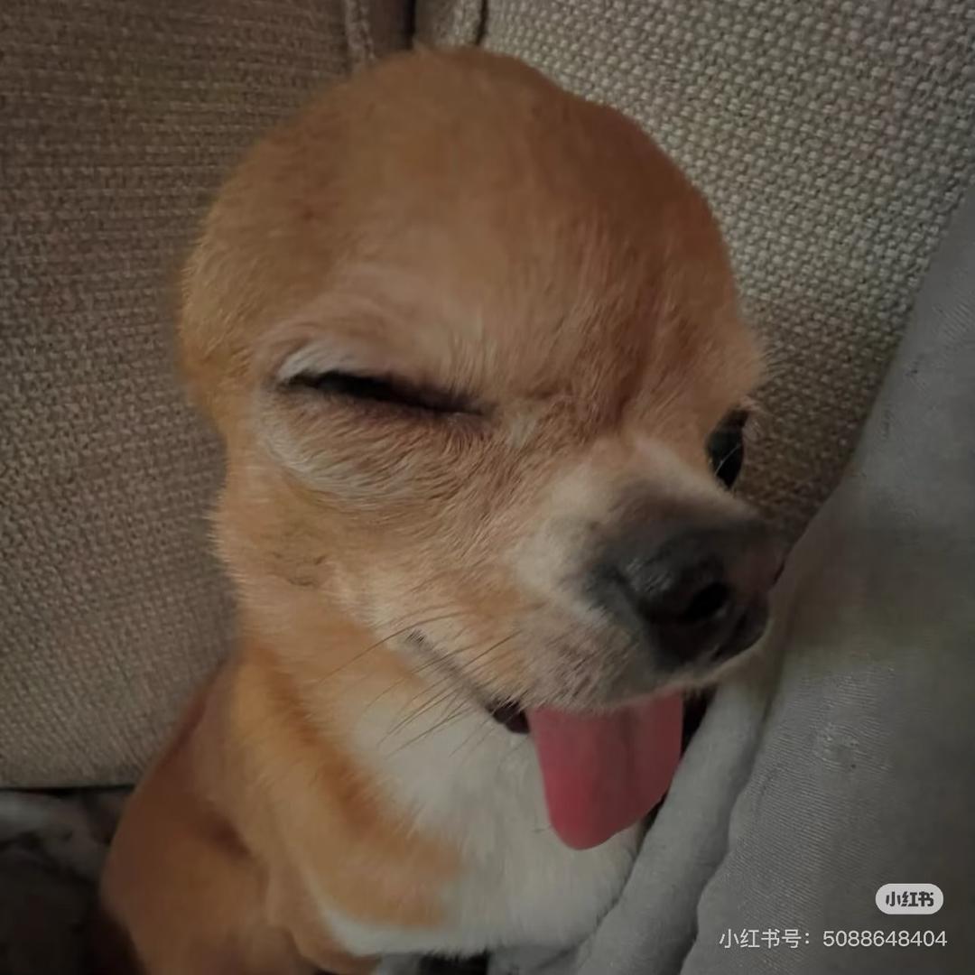 嘟什么嘟