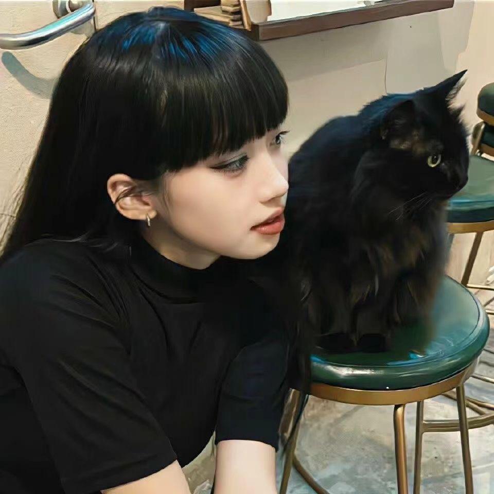呆呆羊🐑