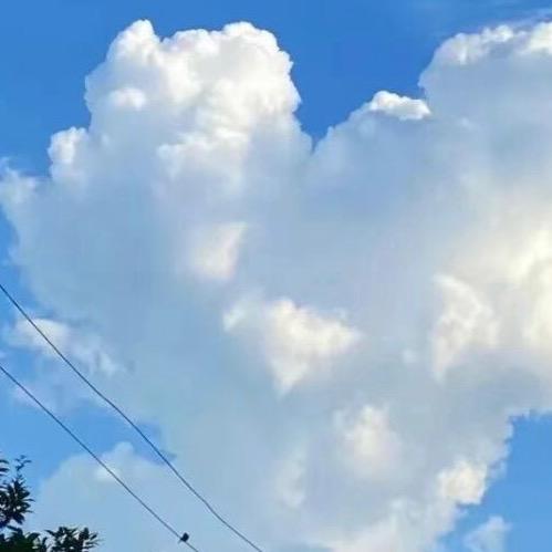 💗飞儿