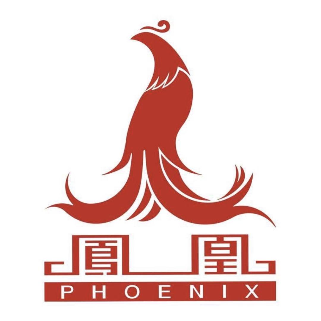 凤凰自行车电动车旗舰店1号