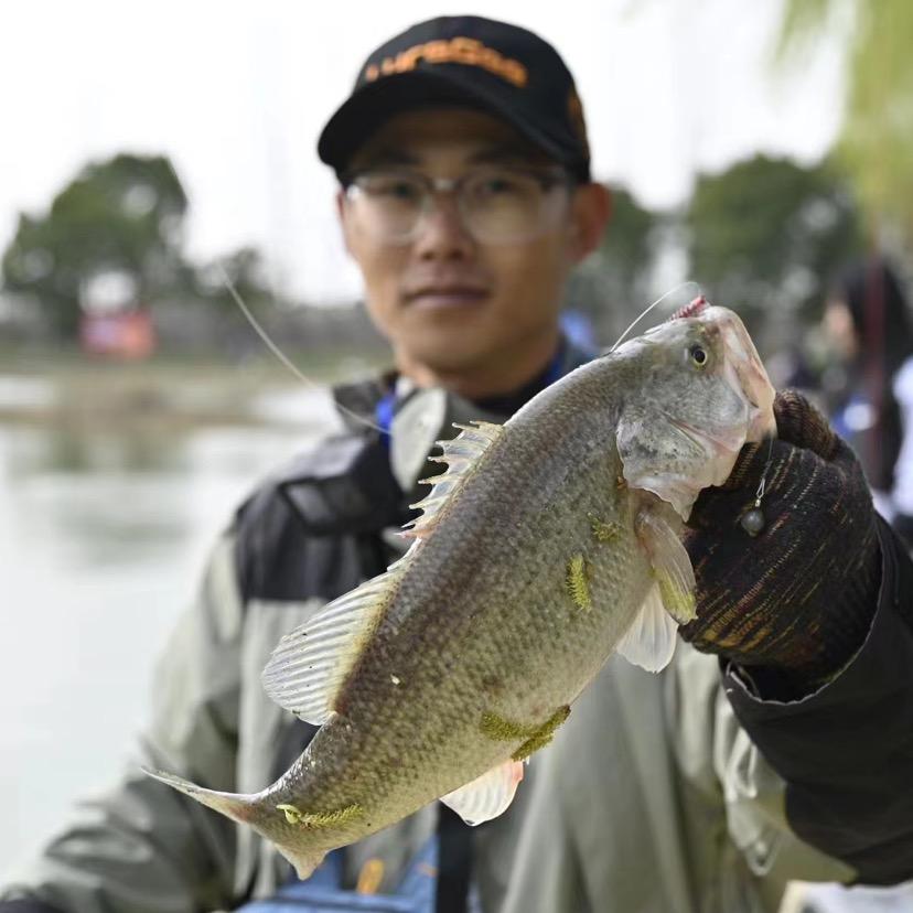 BT路亚（小猫钓鱼）