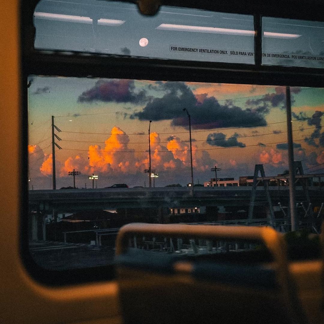 39031212452