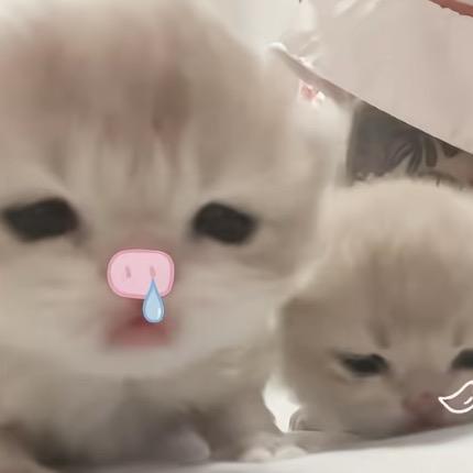 我是Yes